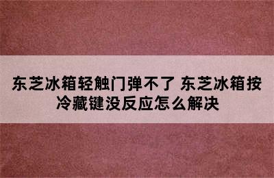 东芝冰箱轻触门弹不了 东芝冰箱按冷藏键没反应怎么解决